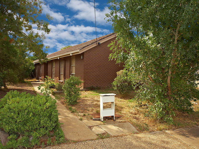 Budget Blaster!! Picture 1