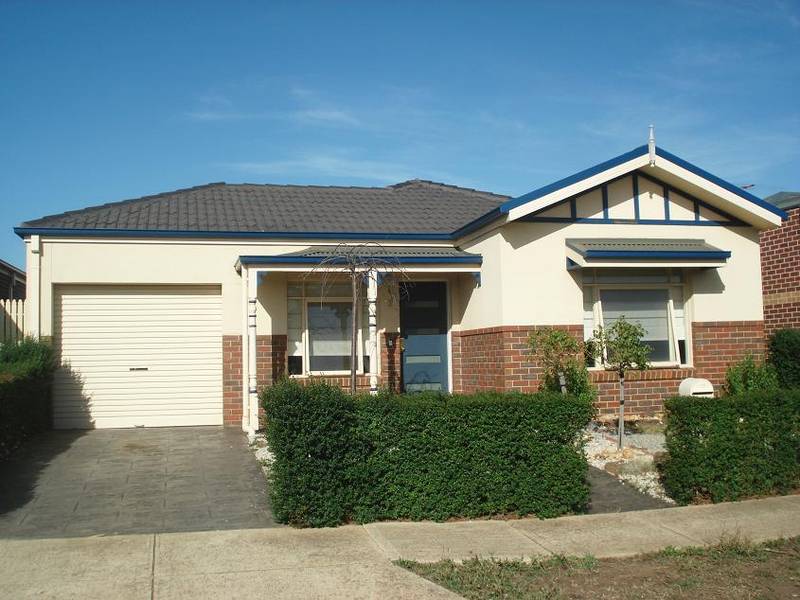 One Look Will Do Picture 1