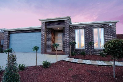 Just Built And Ready To Go! Picture