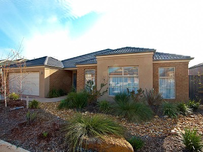 Contemporary Living - Fit For A King Size Family Picture