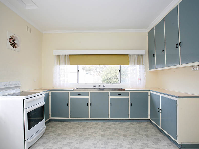 Original Skins Equals Endless Possibilities Picture 2