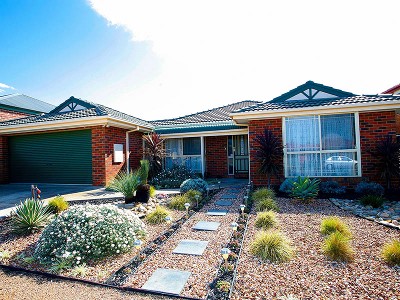 A Family Favourite! Picture