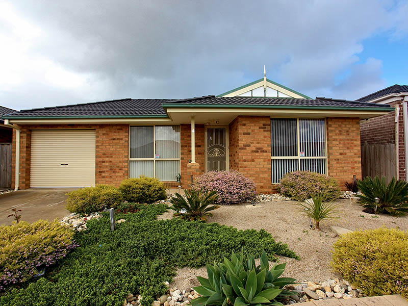 Wanted By Absolutely Everybody! Picture 1