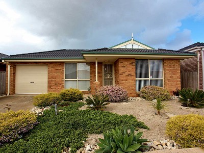 Wanted By Absolutely Everybody! Picture