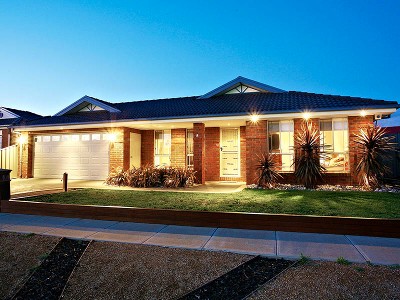 Action Packed Near The River Picture