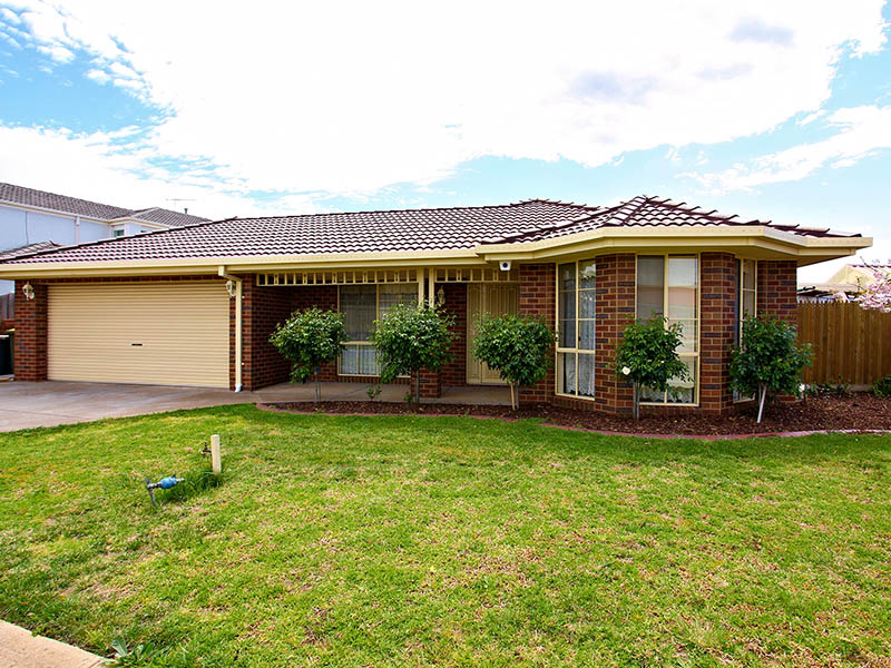 A Place For Everyone To Enjoy Picture 1