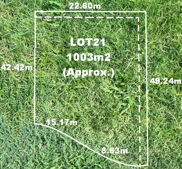 The Vineyard Estate! Picture 1