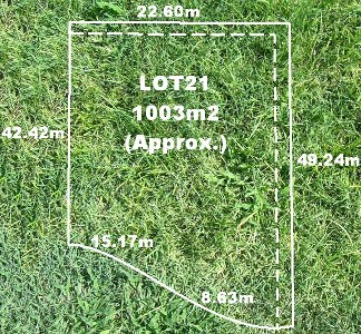 The Vineyard Estate! Picture