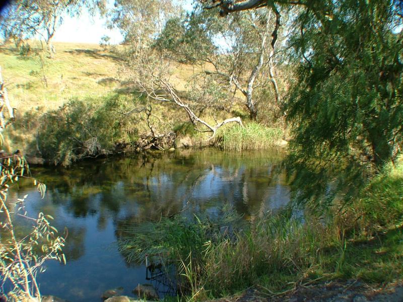 The Vineyard Estate! Picture 2