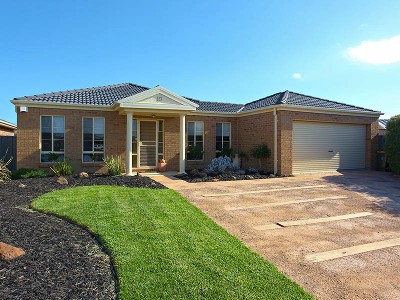 Hard To Find - Impossible To Forget Picture Hard To Find - Impossible To Forget Picture