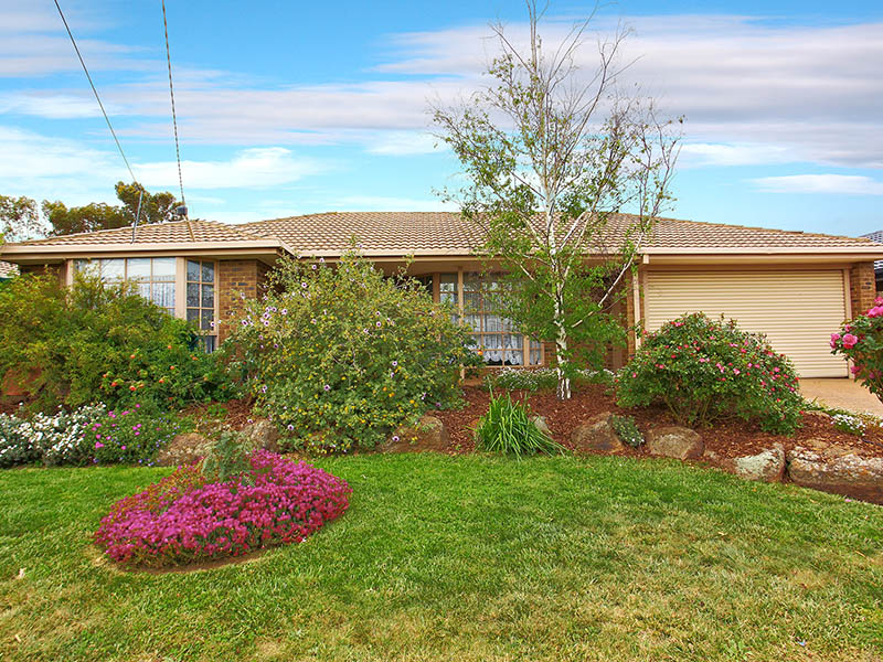 Close To Everything Picture 1