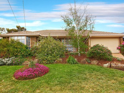 Close To Everything Picture