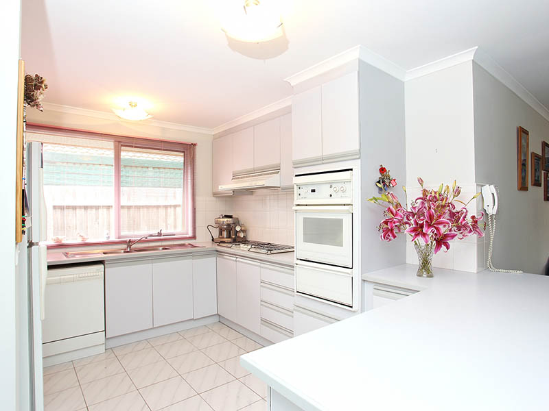 Close To Everything Picture 2