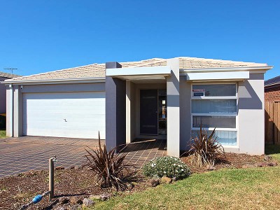 Young And Vibrant Picture Young And Vibrant Picture