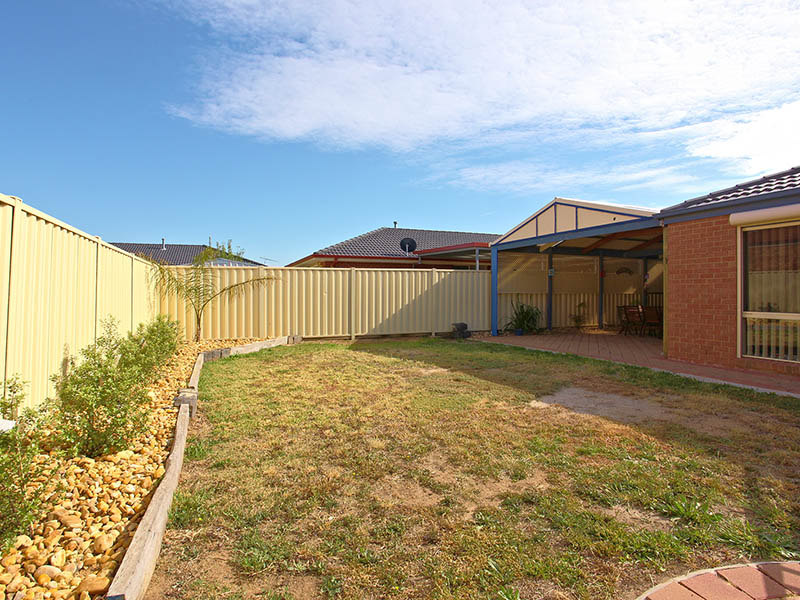 The Family Entertainer Picture 3