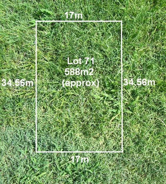 This Is What Dreams Are Made Of! Picture 1