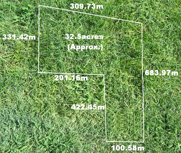 Dreams Can Come True, A Once In A Lifetime Opportunity Picture 1