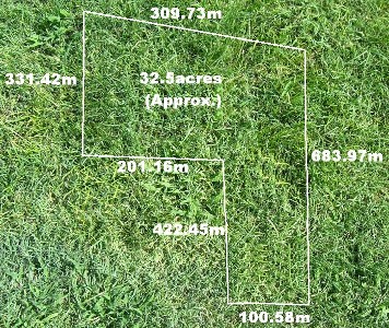 Dreams Can Come True, A Once In A Lifetime Opportunity Picture