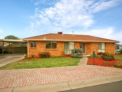 Opportunity Not To Be Missed. Picture Opportunity Not To Be Missed. Picture