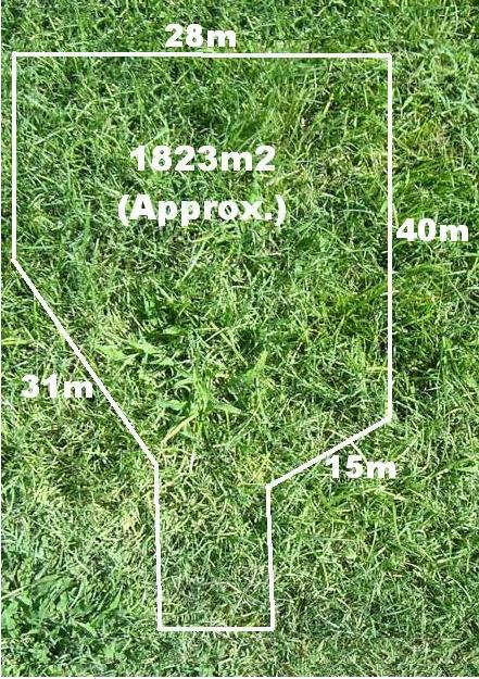 Setting The Benchmark Picture 1