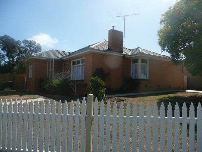 Just Too Cute Picture Just Too Cute Picture