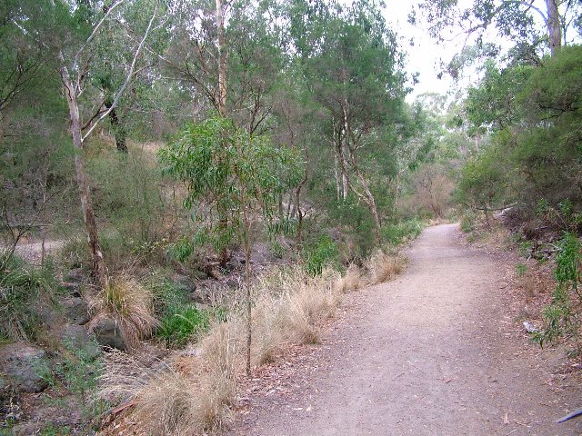 Build Your Dream Picture 3