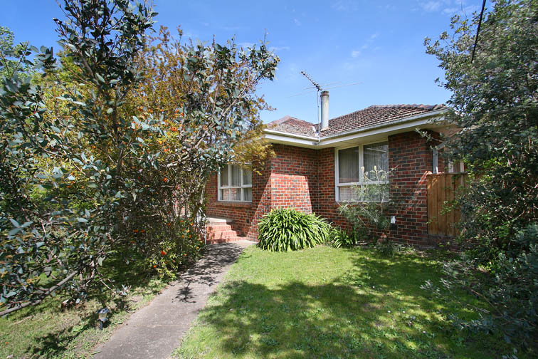 CORNER YOUR OPTIONS IN THE ZONE! Picture 1