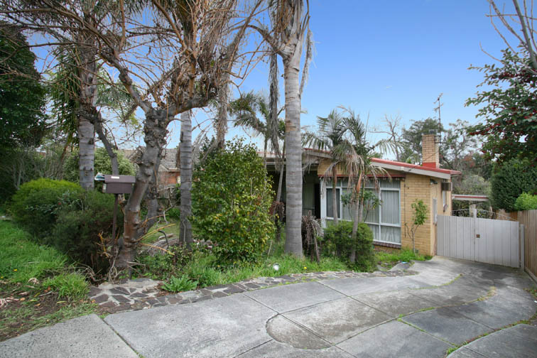 Endless Opportunities... Picture 2