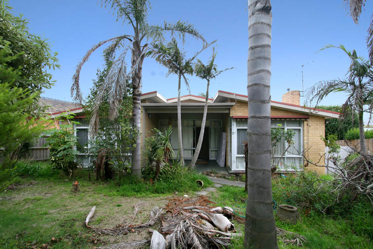 Endless Opportunities... Picture 1