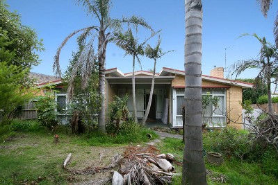 Endless Opportunities... Picture