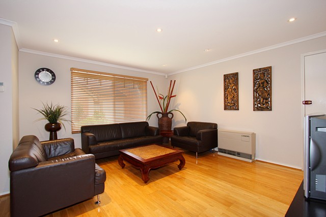 Trendsetter Picture 3