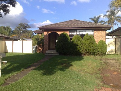 Situated in Quiet Street, Picture