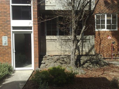 AN EASY DECISION Picture AN EASY DECISION Picture