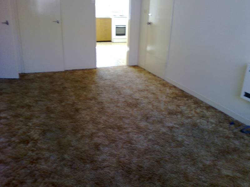 HOME SWEET HOME Picture 2