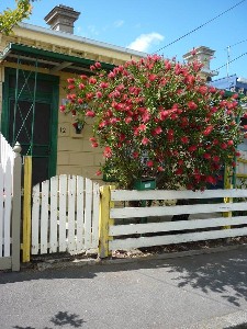 Bright & Cosy Picture