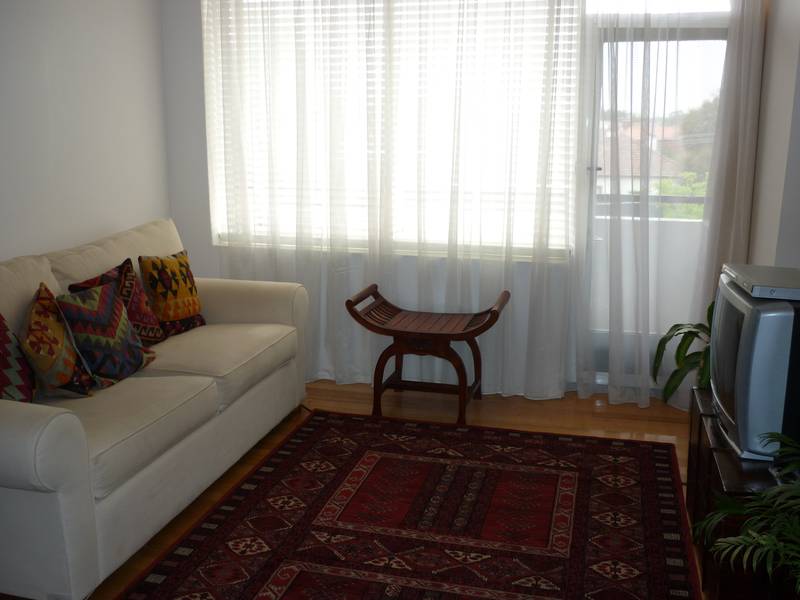 CLOSE TO ALL THE ACTION Picture 3