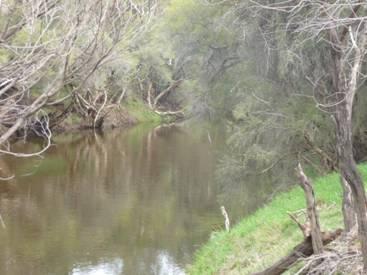 SWAN
RIVER FRONTAGE Picture 3