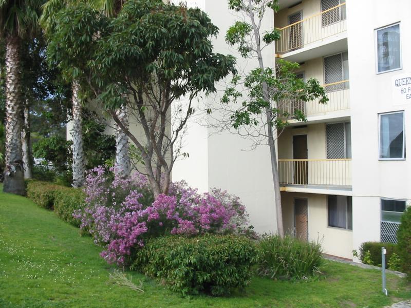 NEWLY RENOVATED QUEENS GARDENS STUDIO APARTMENT Picture 1