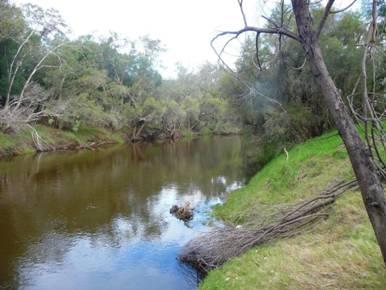 SWAN RIVER FRONTAGE Picture 1
