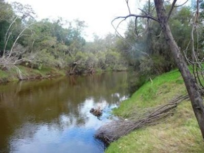 SWAN RIVER FRONTAGE Picture
