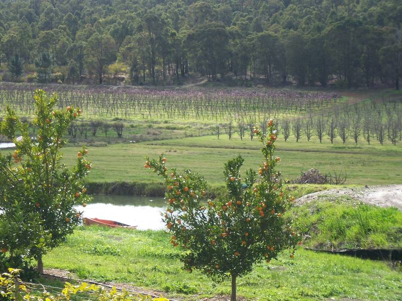 LIFESTYLE PROPERTY WITH INCOME Picture 1