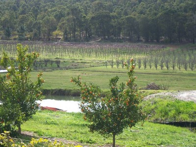 LIFESTYLE PROPERTY WITH INCOME Picture