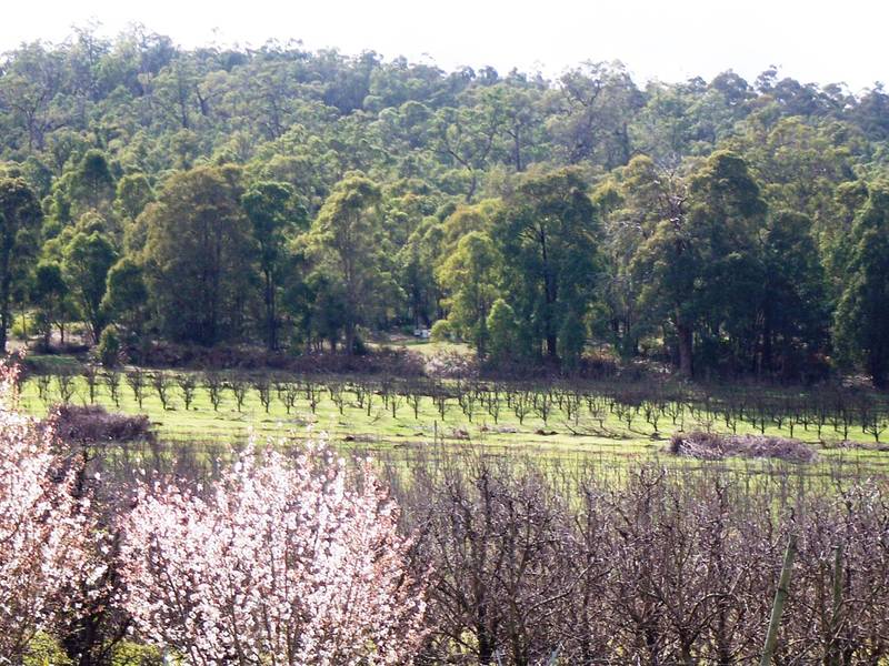 LIFESTYLE PROPERTY WITH INCOME Picture 2