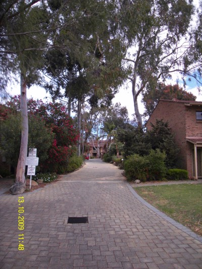 CITY or the BUSH
... No need to choose Picture 1