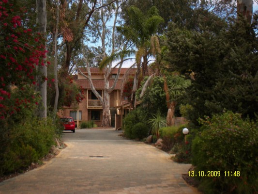 CITY or the BUSH
... No need to choose Picture 2