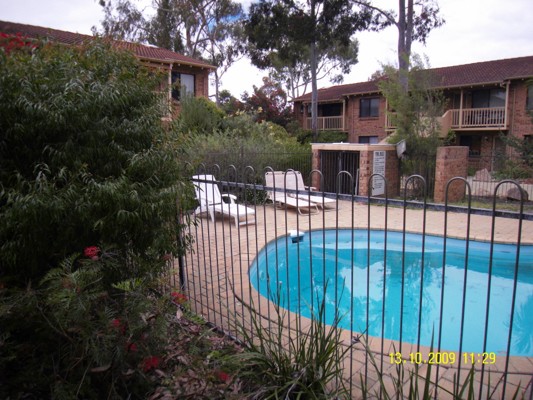 CITY or the BUSH
... No need to choose Picture 3