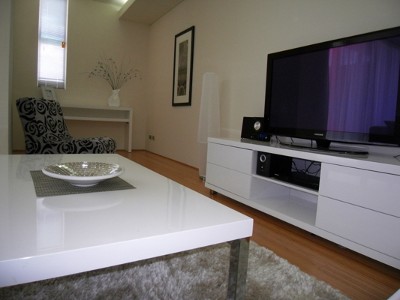 BRAND NEW, BEAUTIFULLY FURNISHED 2x2 LUXURY Picture