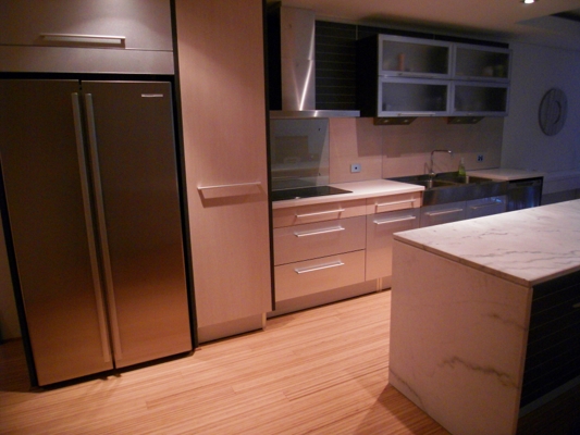 BRAND NEW, BEAUTIFULLY FURNISHED 2x2 LUXURY Picture 2