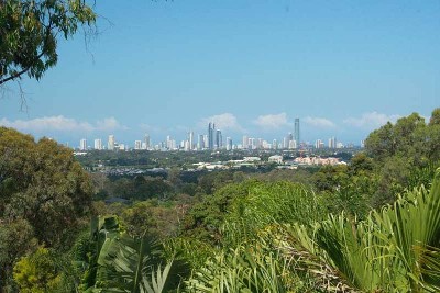 Entertainer's Paradise Picture