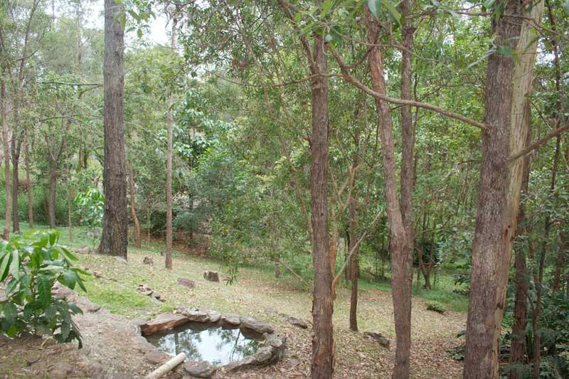 Acreage Bargain Picture 3